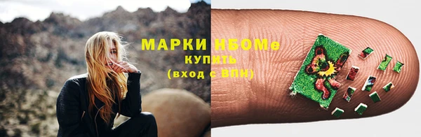 молекула духа Арсеньев