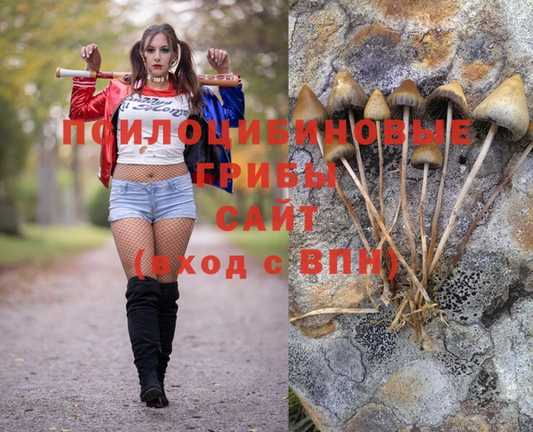 мескалин Аркадак