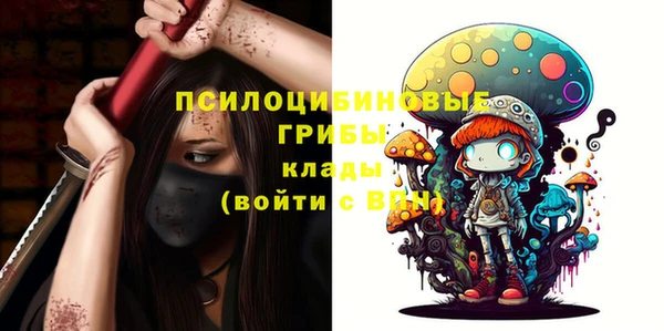 Альфа ПВП Армянск
