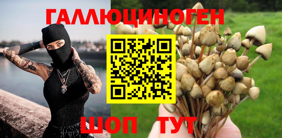 Краснотурьинск  Псилоцибиновые грибы MAGIC MUSHROOMS  Псилоцибиновые грибы мицелий  Вход с VPN 